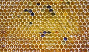 Manos suaves con cera de abeja - Trucos de belleza caseros