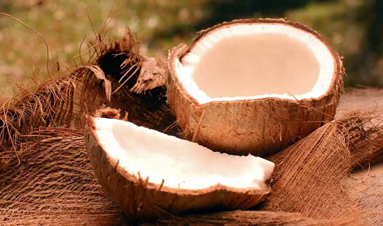 Cómo combatir el encrespamiento con leche de coco - Trucos de belleza caseros